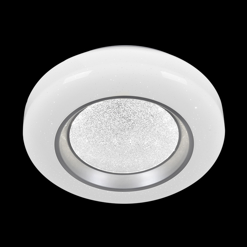

Потолочный светильник Reluce 02098-9.2-24W*2