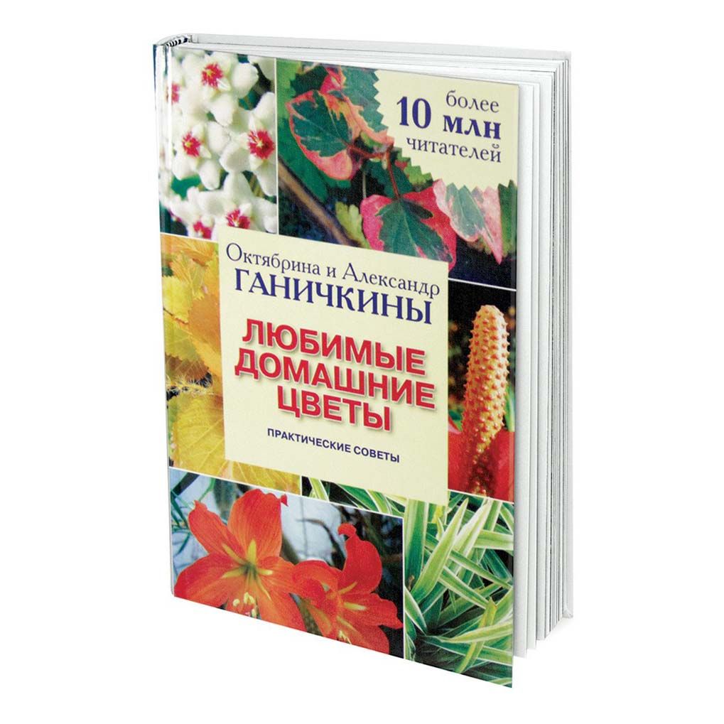 

Любимые домашние цветы Ганичкина О. А., Ганичкин А.