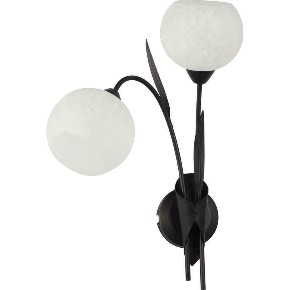 

Bagheria GRLSF-6291-02