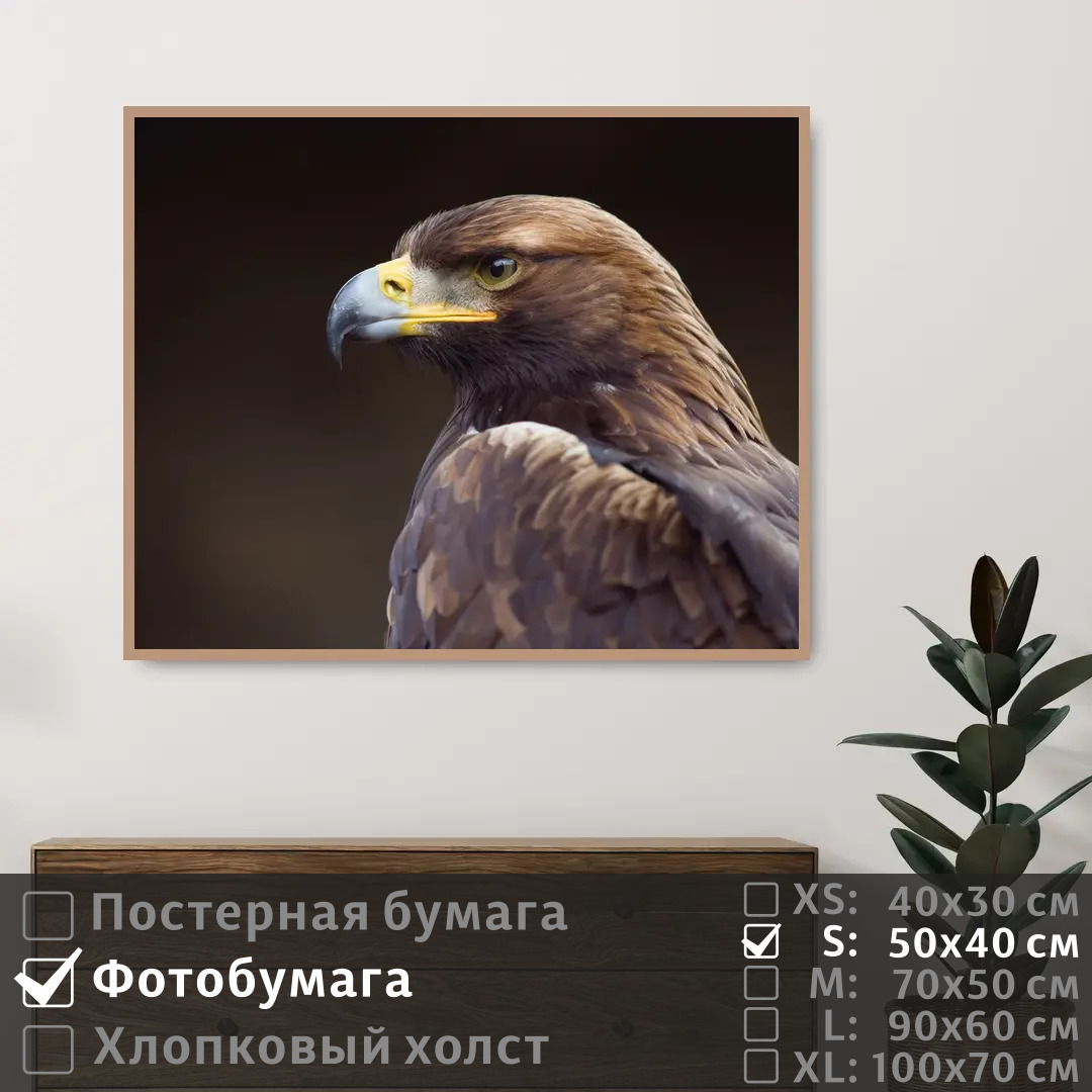 

Постер на фотобумаге ПолиЦентр Орел смотрит вдаль 50х40 см, ОрелСмотритВдаль