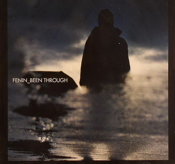 

FENIN - Been Through (1 CD)