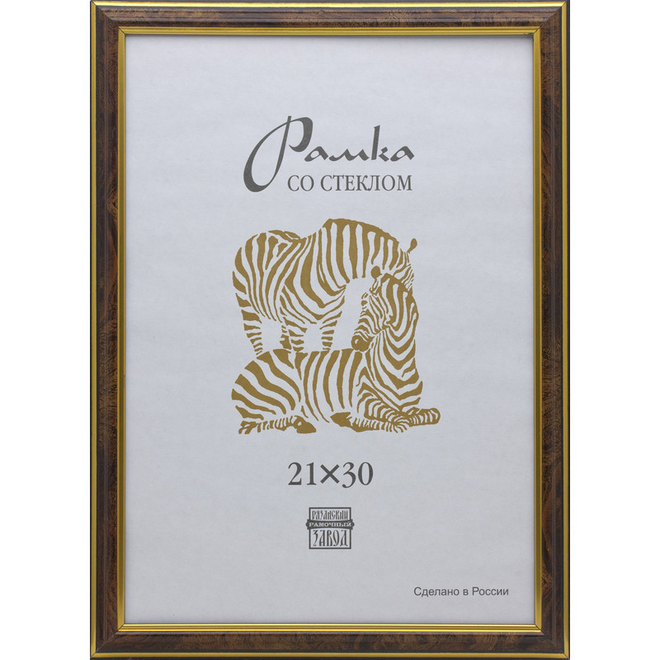 

Рамка пластиковая А4 (коричневый)301