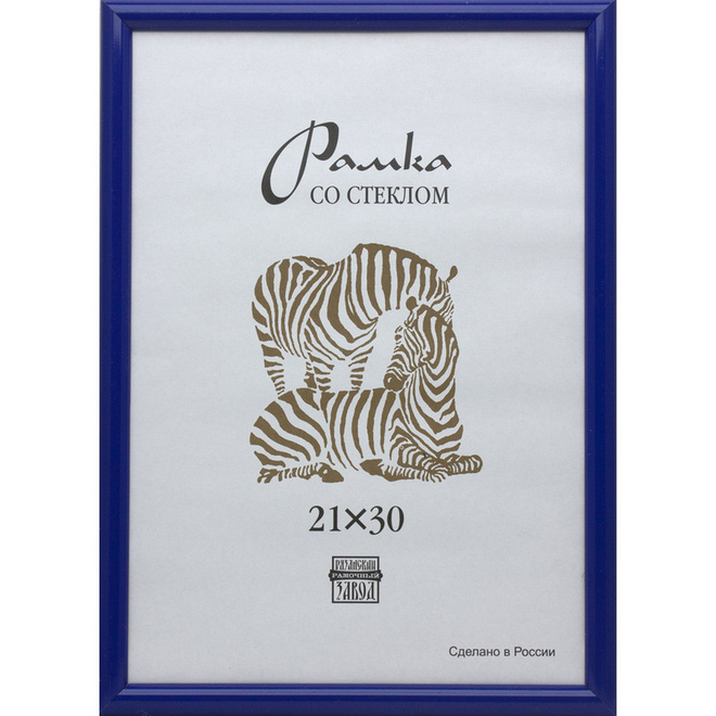 

Рамка пластиковая А4 504 (синий)