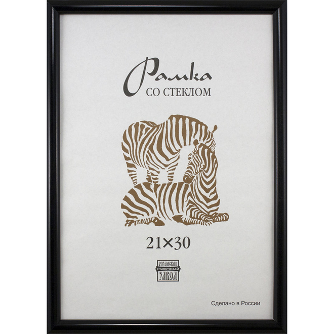 

Рамка пластиковая А4, 508 (черный)