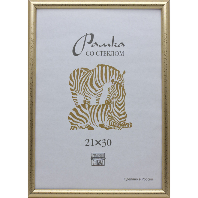 

Рамка пластиковая А4, 509 (золото)