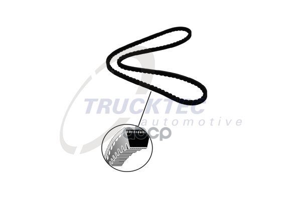 

04.19.056_Ремень Клиновой 13Х1625 Оmn Dаf, Sетrа, Маn, Мв, Rvi, Sсаniа TRUCKTEC AUTOMOTIVE