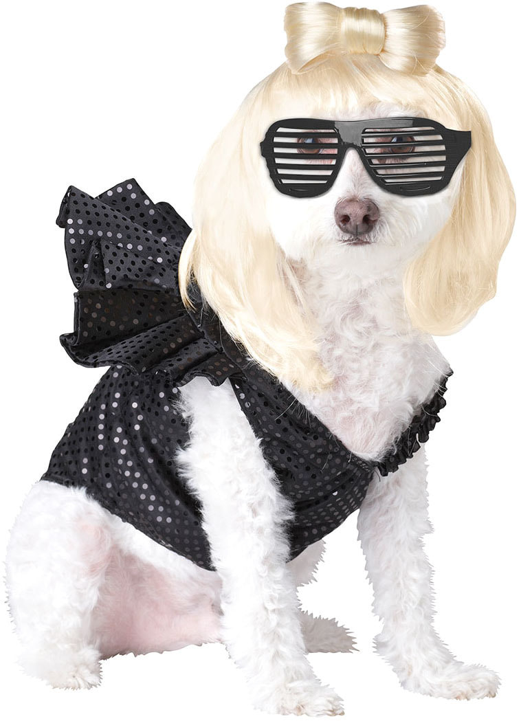 Костюм для собак California Costumes Леди Гага, женский, черный, S, длина спины 30 см