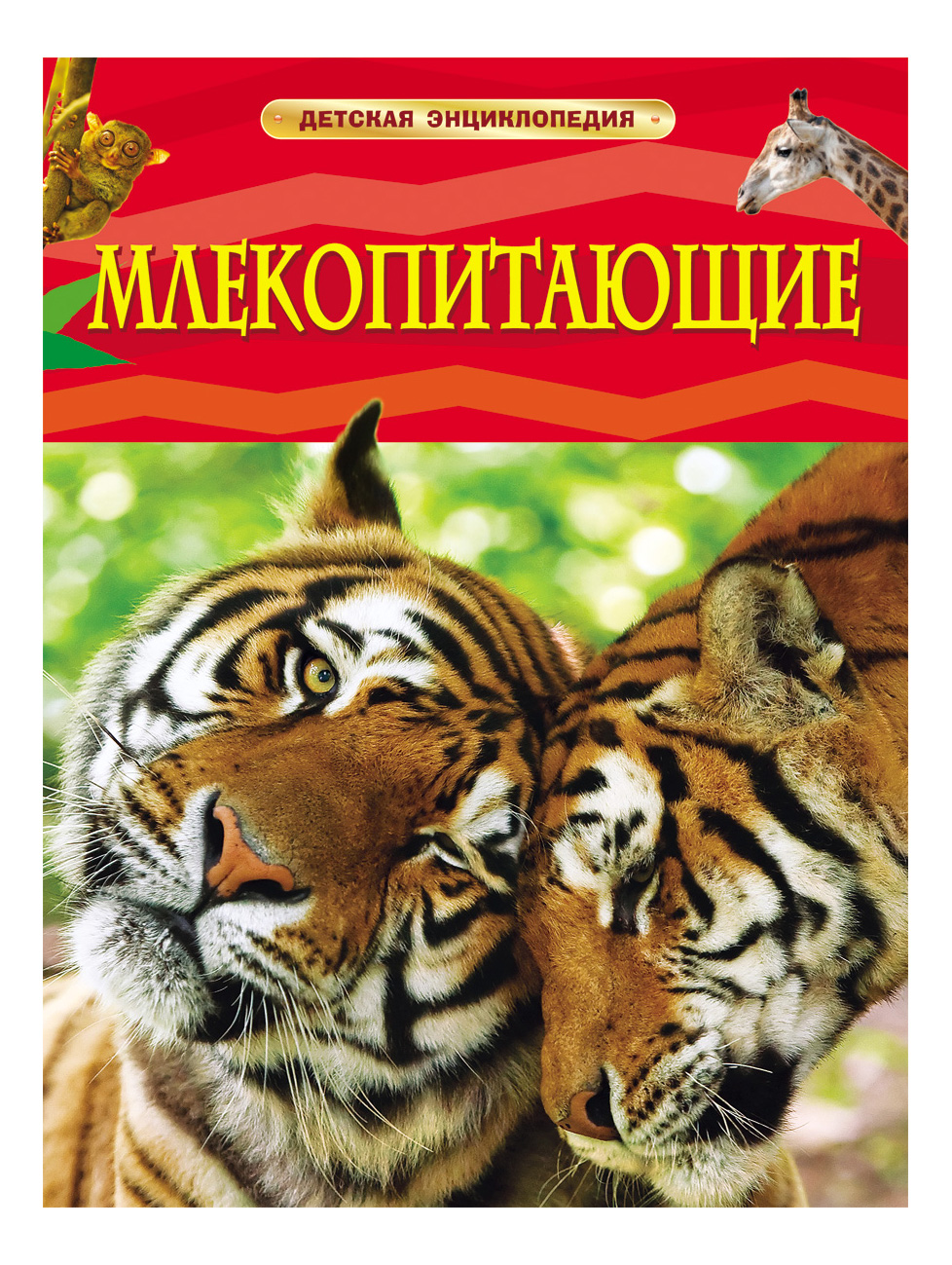 

Книжка Росмэн Млекопитающие, млекопитающие