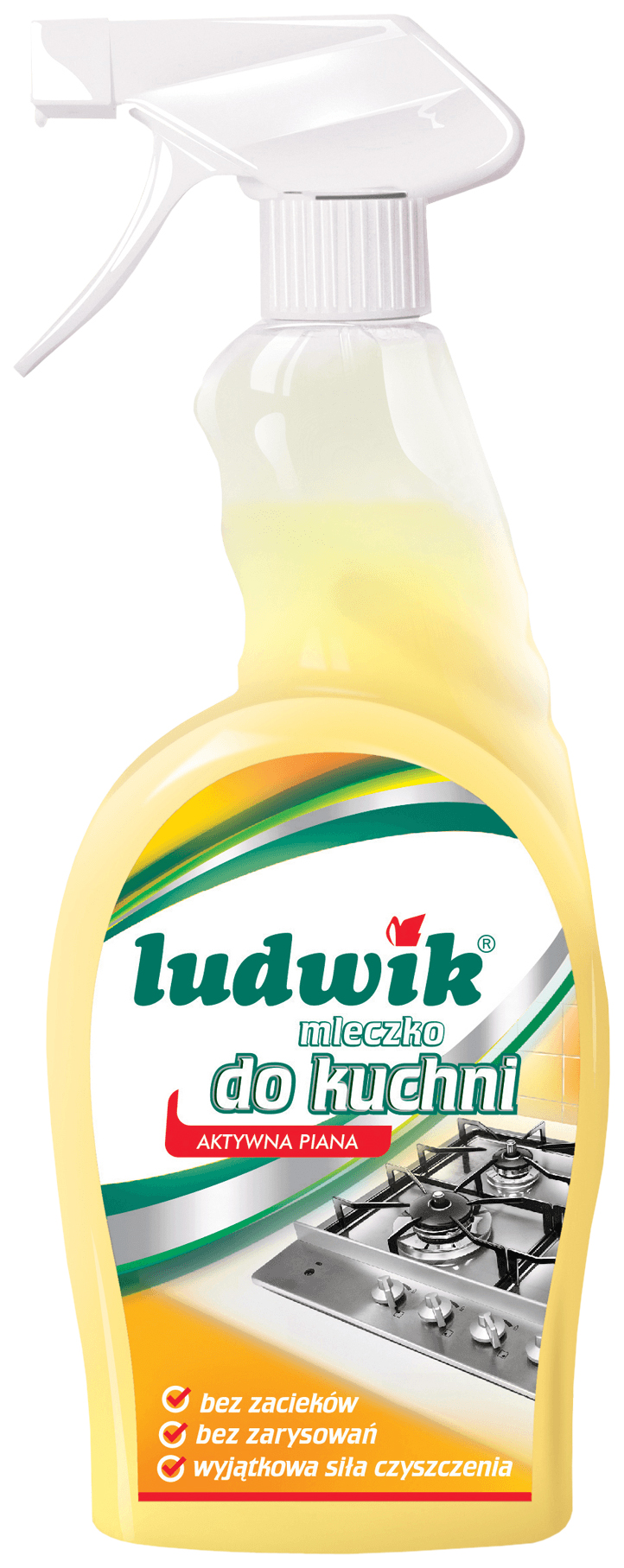 фото Универсальное чистящее средство ludwik для кухни 750 мл