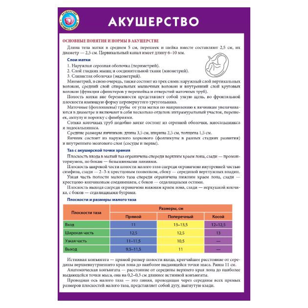 

Акушерство