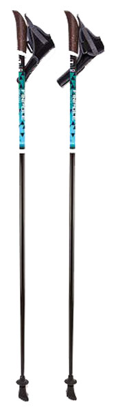 Палки для скандинавской ходьбы Finpole Nero, черный/голубой, 125 см