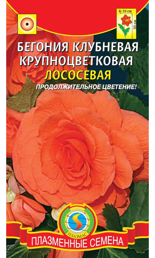 

Семена Бегония клубневая крупноцветковая Лососевая, 5 драже Плазмас