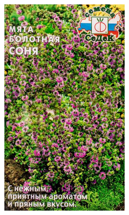 

Семена Мята болотная Соня, 0,05 г СеДеК