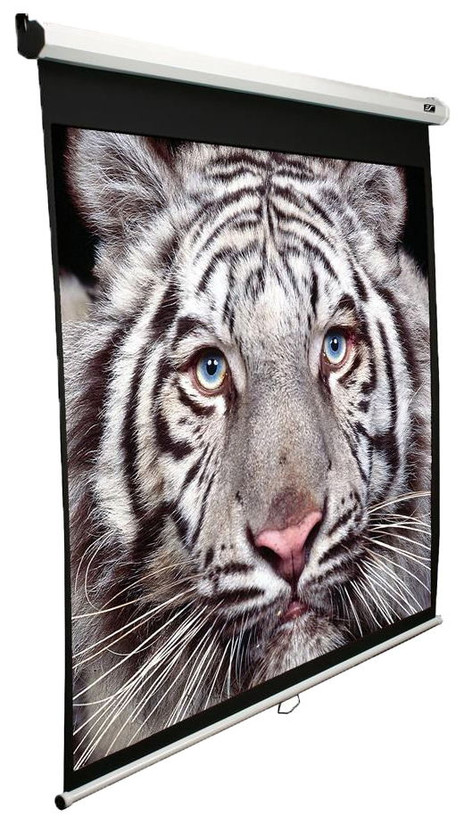 

Экран для видеопроектора Elite Screens M113NWS1 Белый