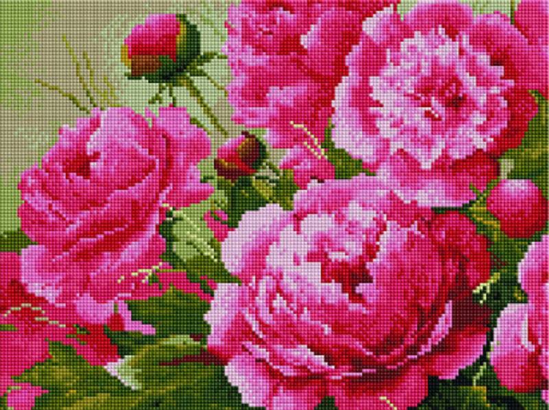 

Алмазная вышивка Painting Diamond Розовые пионы, 30x40 см, Розовые пионы