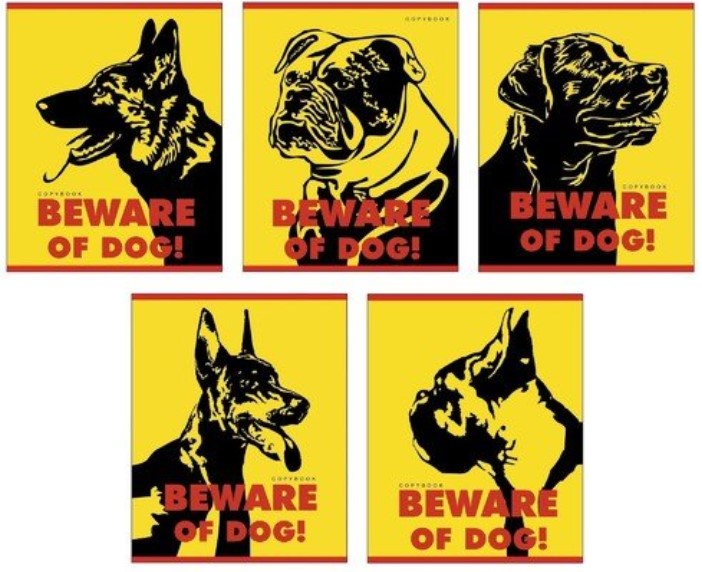 

Тетрадь "Осторожно, собака!" А5, 96 листов, в клетку, в ассортименте