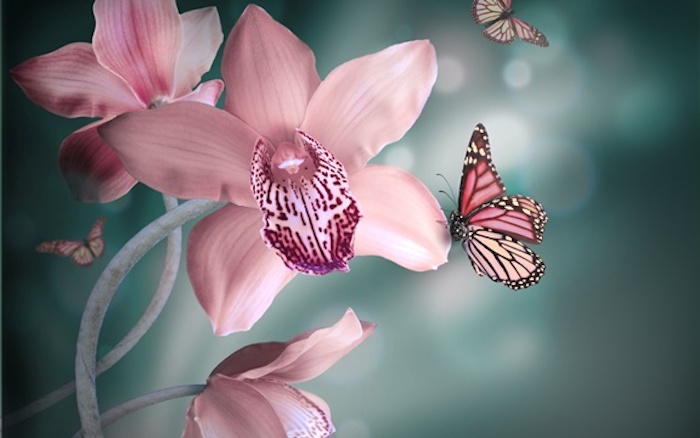 Набор алмазной мозаики Яркие Грани Орхидеи и бабочки, размер 50х32 см, 51 цвет