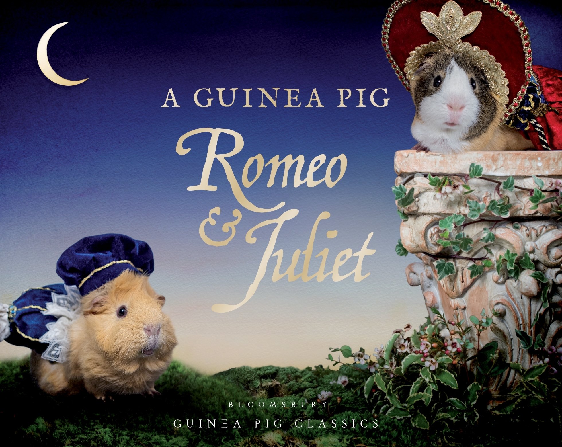 

A Guinea Pig, Romeo & Juliet