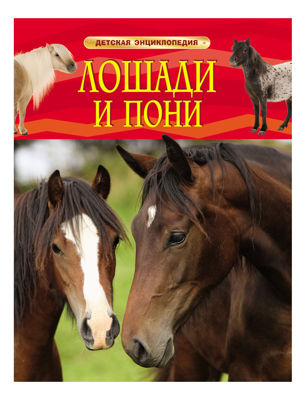 

Лошади и пони