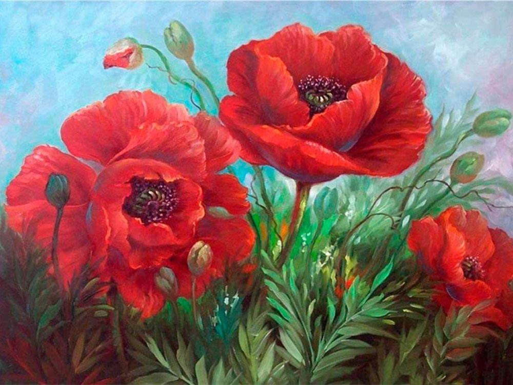 

Алмазная вышивка Painting Diamond Маки, 40x50 см, Маки