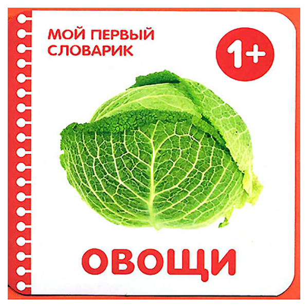 

Книга МОЗАИКА-СИНТЕЗ Овощи