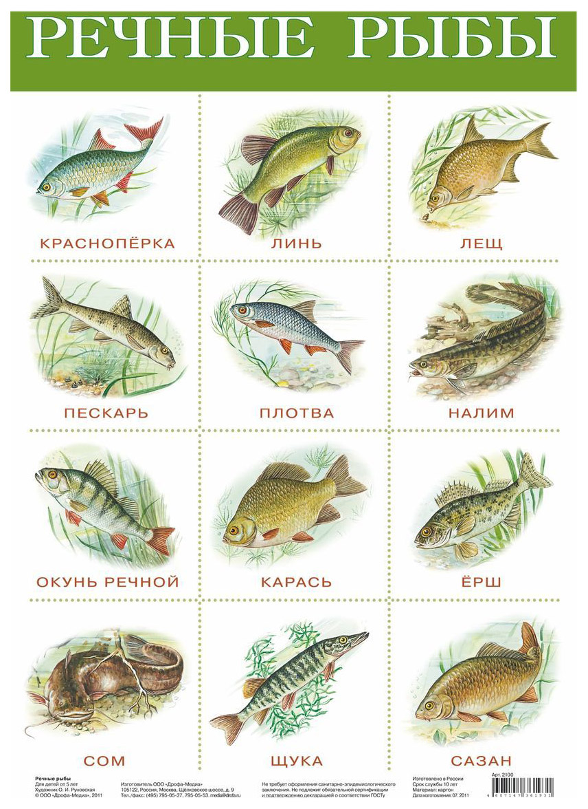 виды рыб россии фото