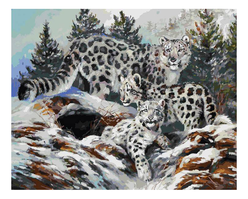 

Раскраска по номерам Белоснежка Ирбисы, ирбисы