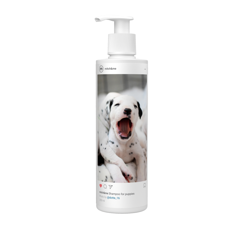 

Шампунь для щенков MITCH&ME for Puppies, универсальный, алоэ вера, 250 мл
