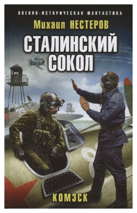 

Книга Сталинский Сокол. комэск