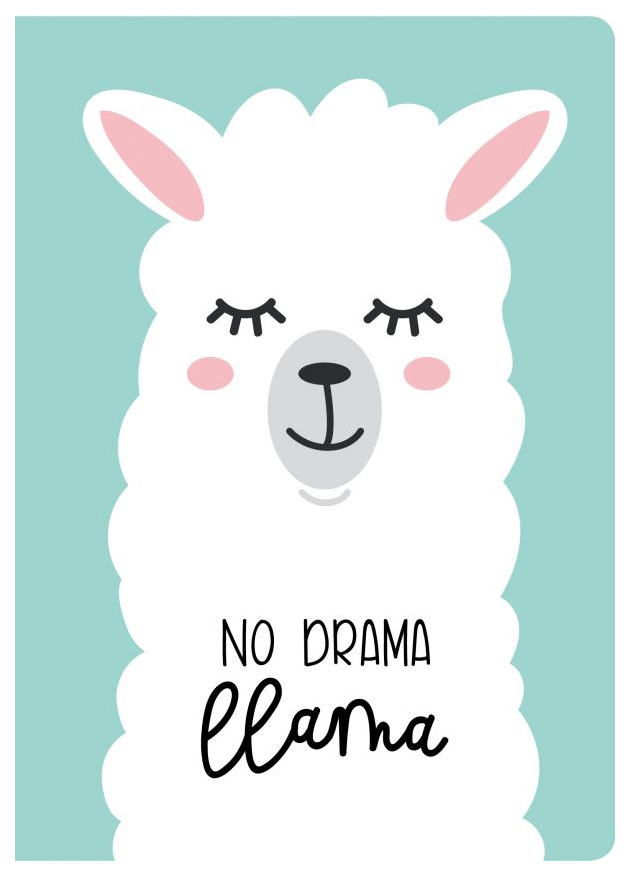 

Блокнот Эксмо Лама No drama 978-5-04-096855-8