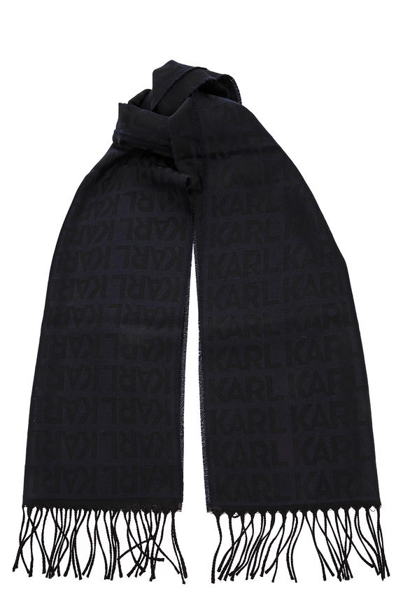 

Шарф мужской Karl Lagerfeld 805001 592133 690 синий, 193х40 см, 805001 592133 690