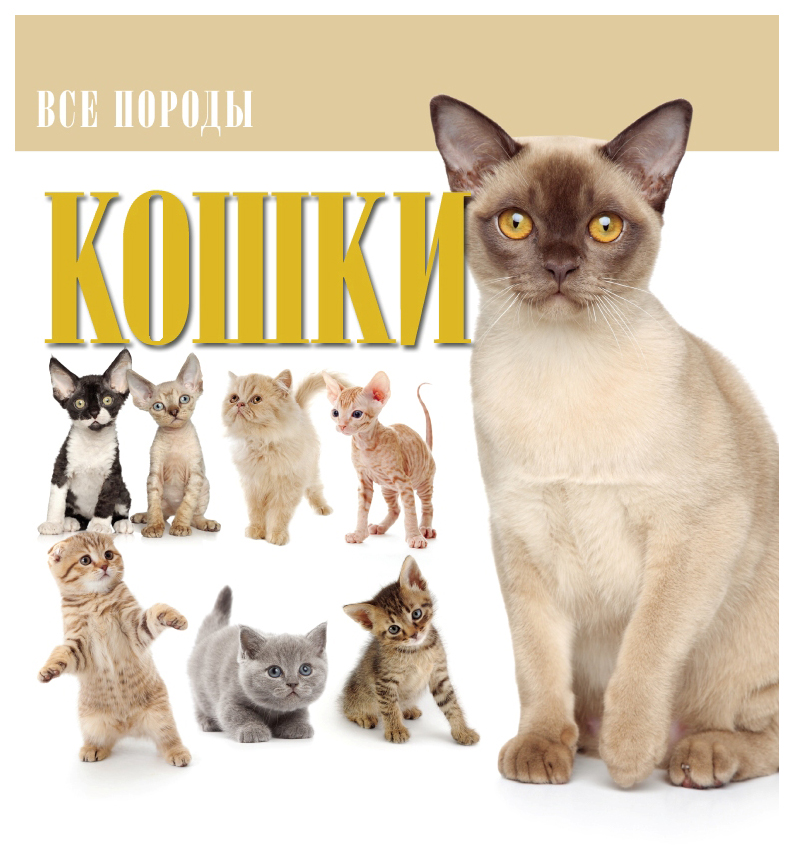 фото Детская энциклопедия харвест волкова н. "кошки. все породы"