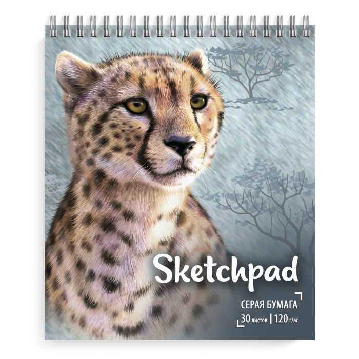 

Скетчпад 168х195 мм 51494 ГЕПАРД Феникс+