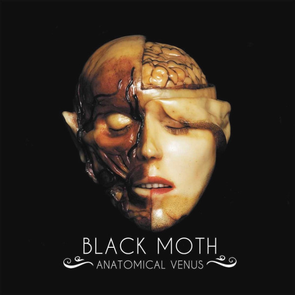 

Black Moth "Anatomical Venus"