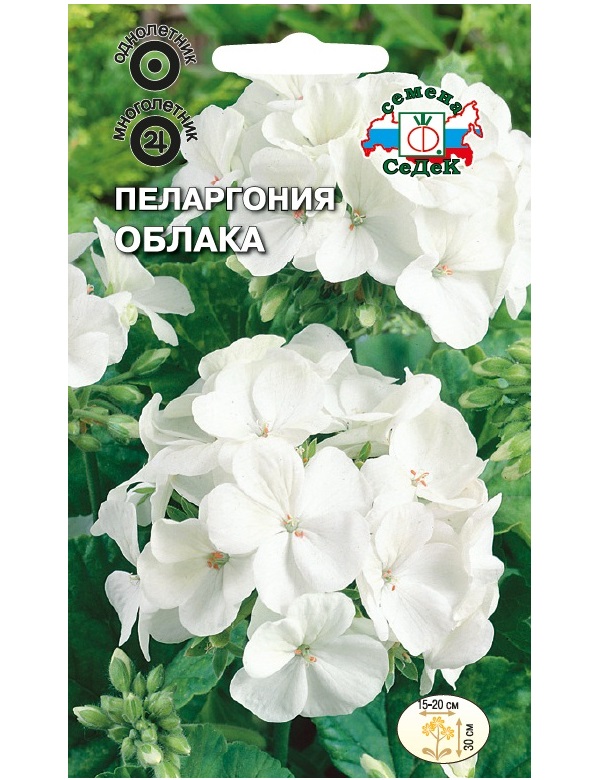 

Семена пеларгония СеДеК Облако 164997 1 уп.