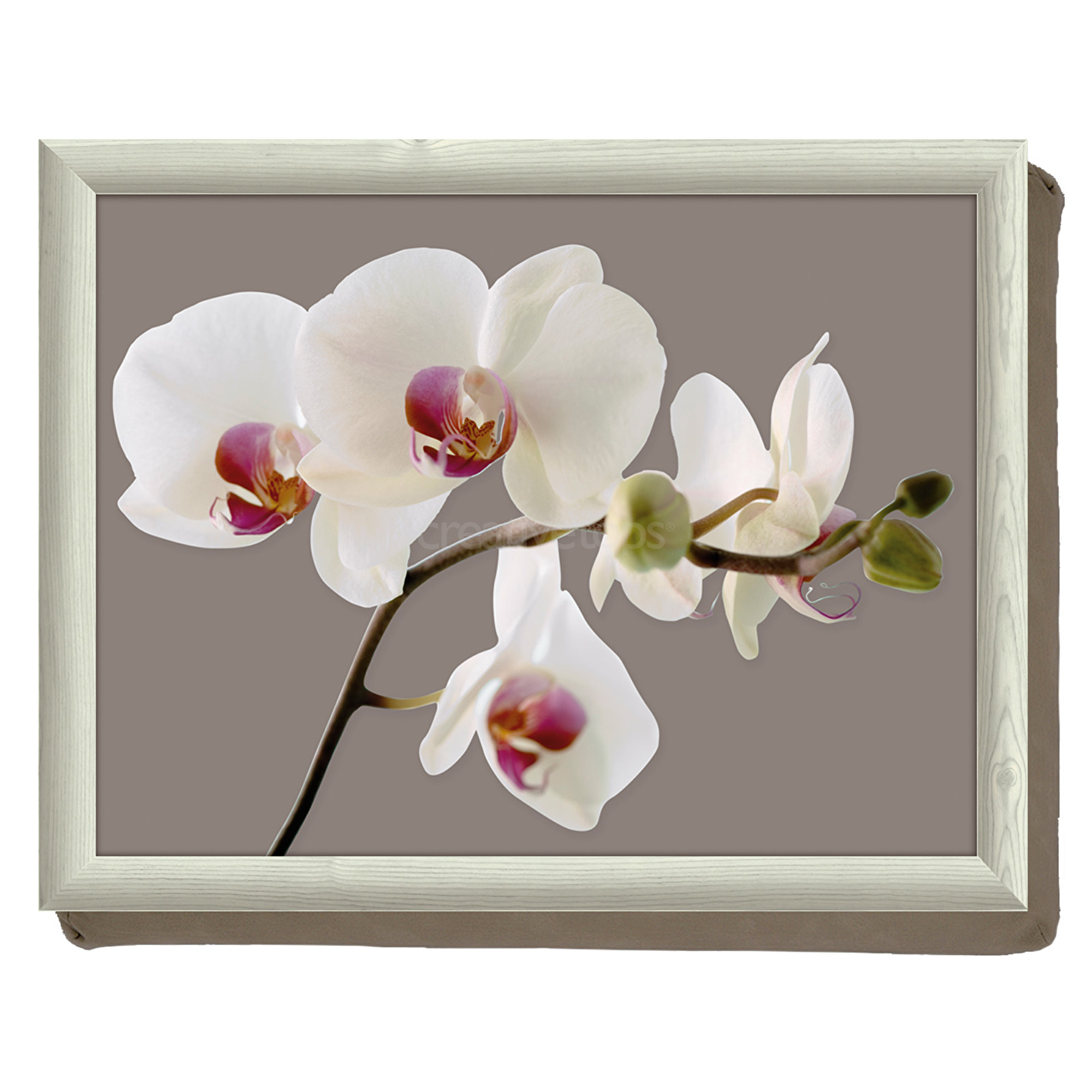 фото Поднос на подушке creative tops гармония орхидей