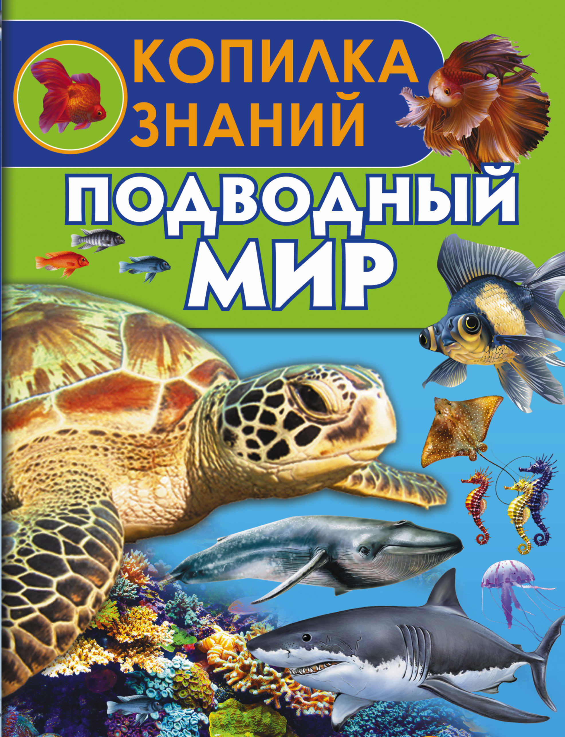 

Подводный Мир