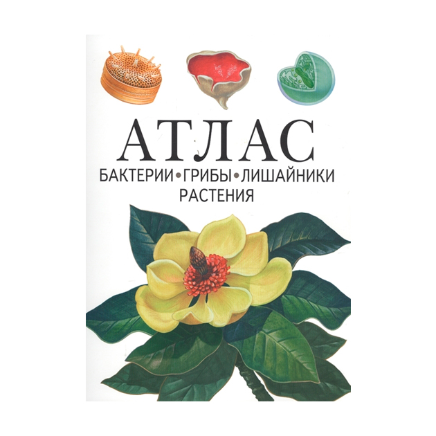 

Атлас, Бактерии, Грибы, лишайники, Растения, Черепанов