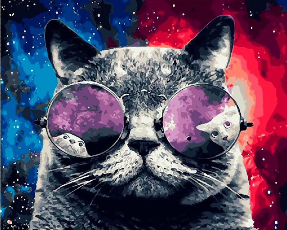 

Живопись по номерам Paintboy Космический кот 40x50, Космический кот