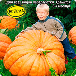 

Семена Тыква крупноплодная Небывалый размах, 2 г, АЭЛИТА, 202364