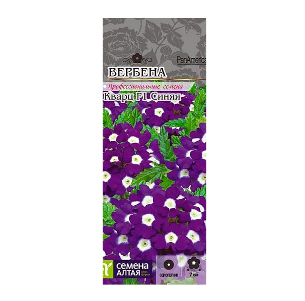 

Семена Вербена Кварц Синяя F1, 5 шт, PanAmerican Seeds семена Семена Алтая