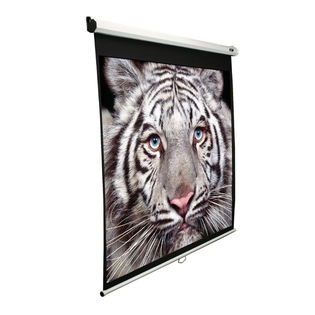 

Экран настенный Elite Screens M99NWS1 99" 1:1 178x178 ручной MW белый