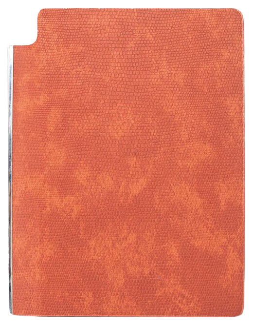 

Бизнес-блокнот недатированный СНЕЙК КОРИЧНЕВЫЙ