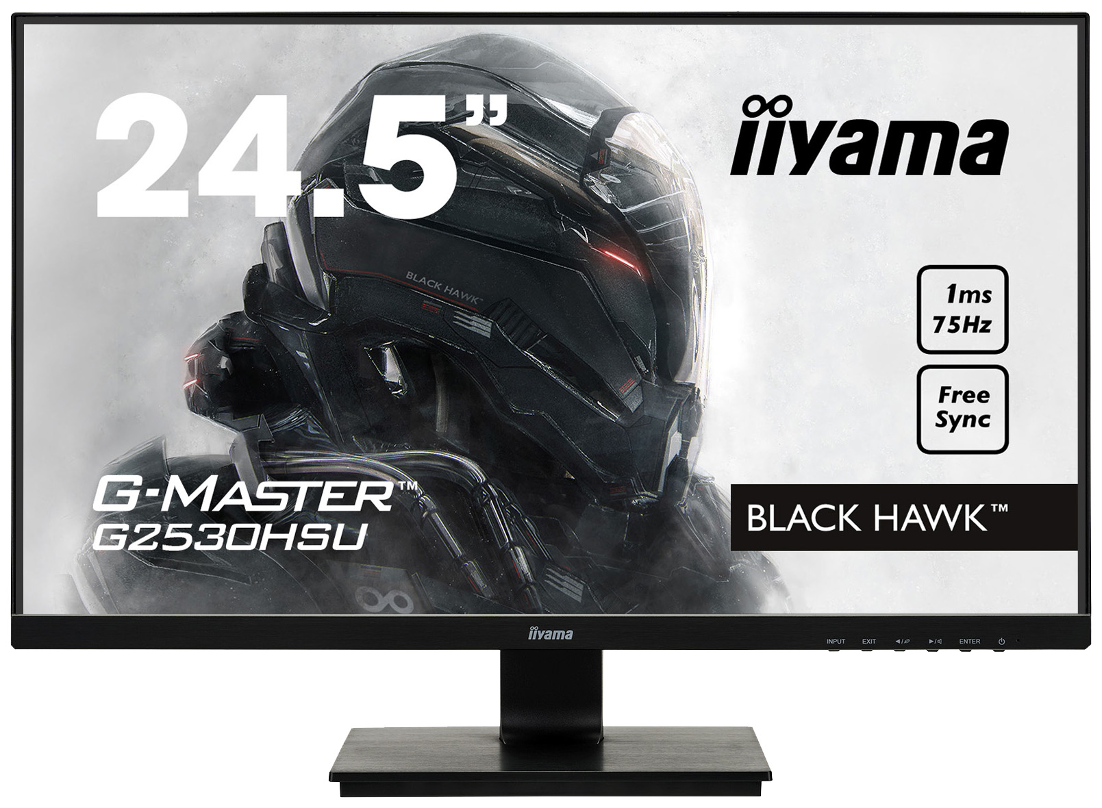 фото Монитор iiyama g-master g2530hsu-b1