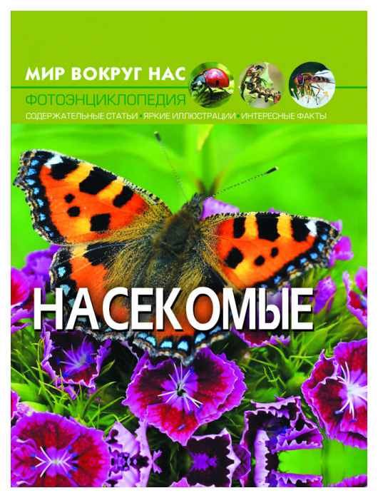 

Мир вокруг нас. Насекомые
