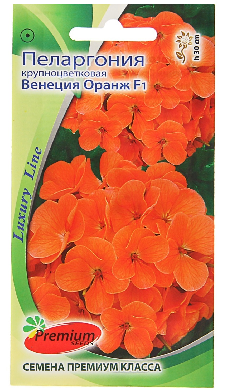 

Семена Пеларгония крупноцветковая Венеция Оранж F1, 5 шт, Luxury Line Premium seeds