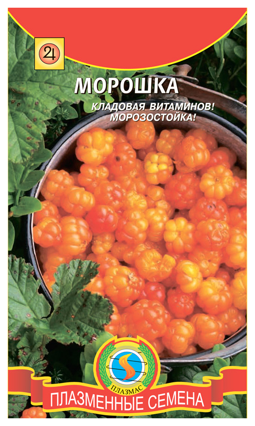 

Семена Морошка, 8 шт, Плазмас