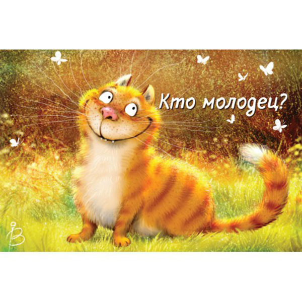 

Открытка ND PLAY Юмористическая №5, Разноцветный, 273 847