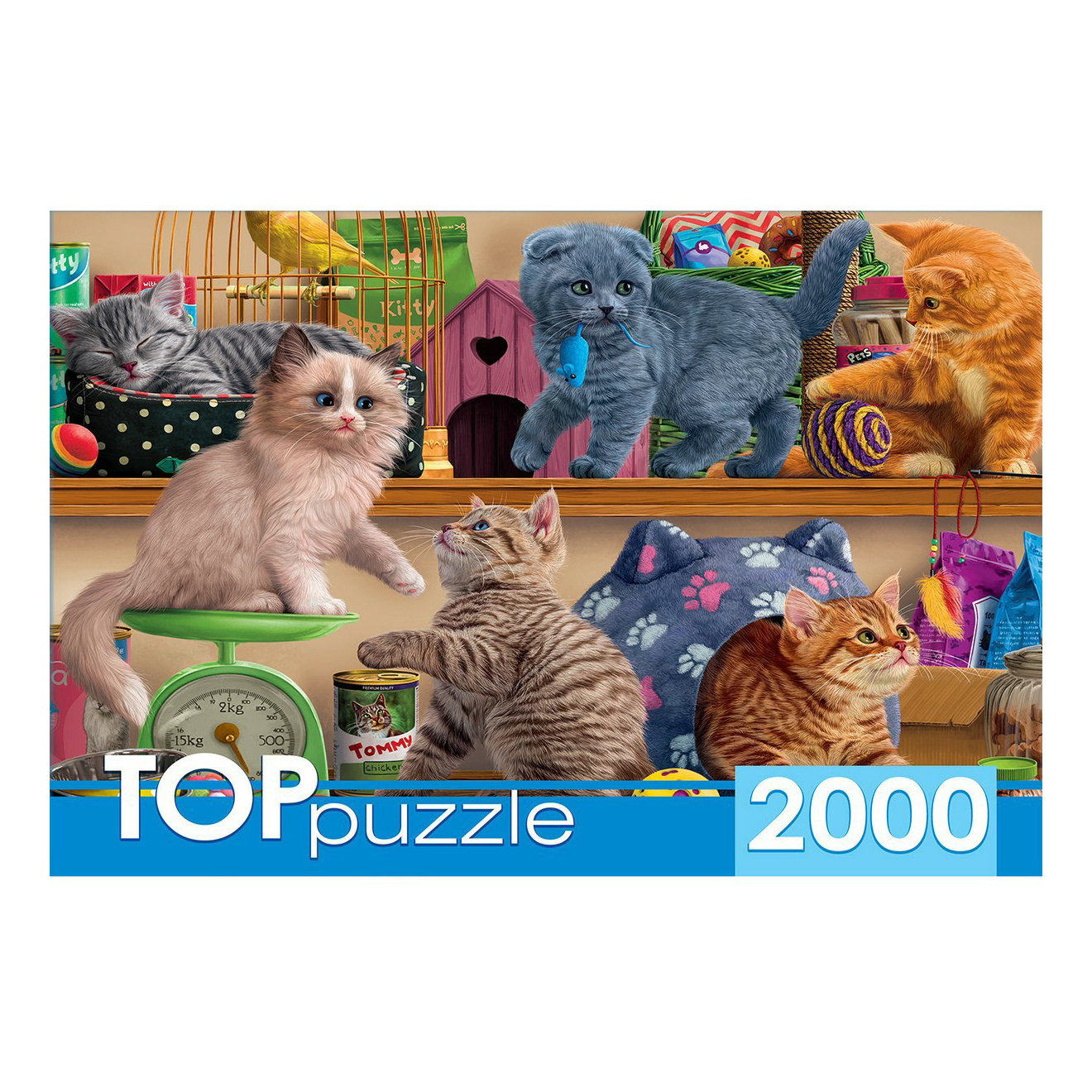 

Пазл Рыжий Кот 2000 элементов