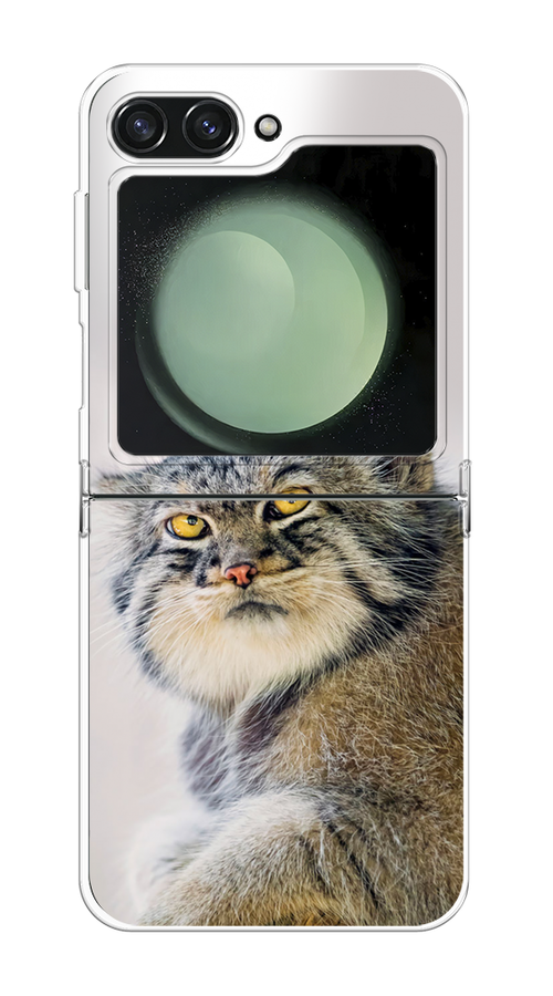 

Чехол на Samsung Galaxy Z Flip 6 "Кот манул 1", Серый;белый;желтый, 2109750-1